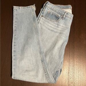 Everlane Light Blue Women Jeans